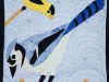 Blue Jay and Goldfinch