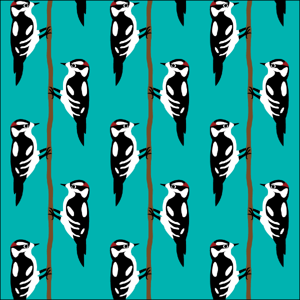 Downy woodpecker repeat pattern