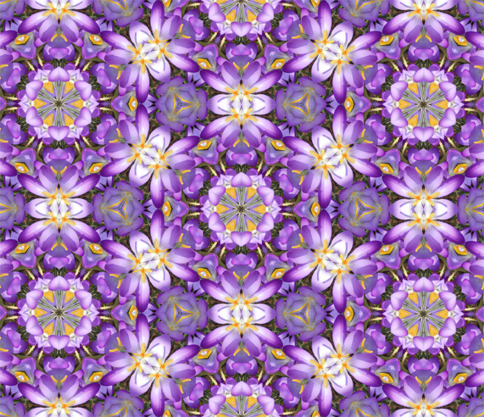 Crocus kaleidoscope